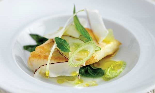 Fillet of John Dory with Coconut and Lime Salad